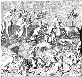 Diseases of Dogs and Their Cures