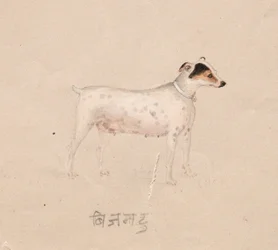 Dog, 1800s
