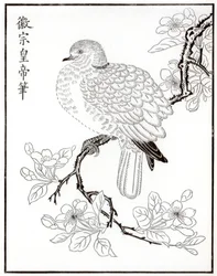 Dove, 1886