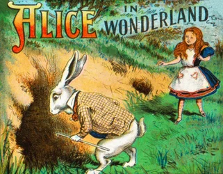 Down the Rabbit Hole