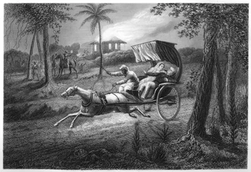 Dr. Graham Shot in His Buggy by the Sealkote Mutineers