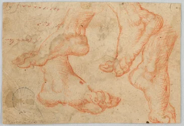 Four Studies of a Foot