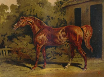 Eclipse, c1879