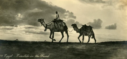 Egypt - Eventide in the Desert