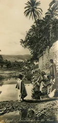 Egypt - Noontide Rest in the Oasis, c1918-c1939