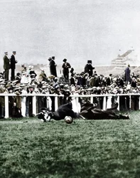 Emily Davison throwing herself in front of the King