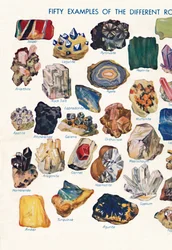 Examples of the Different Rocks That Make Up The Earth