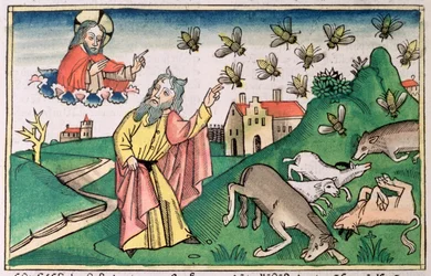 Moses and the Swarm of Flies, One of the Seven Plagues of Egypt