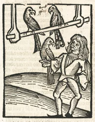 Falconer with goshawks