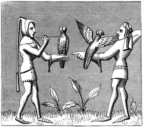 Falconers dressing their birds, 14th century