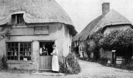 Family Grocer, Corner of Bradford Peverell, Wessex
