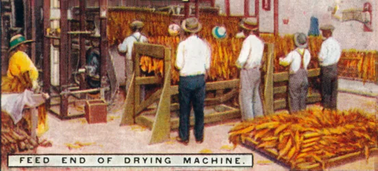 Feed End of Drying Machine, 1926