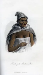 Female of the Bushman Race, 1848