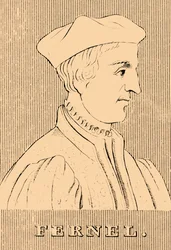 Fernel