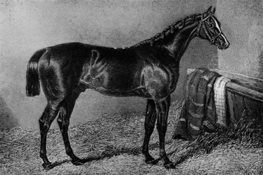 Filho Da Puta, 1812-1835, 1911