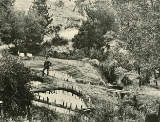 Fish Ponds, Ercildoune, near Ballarat