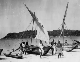 Fishing Boats, Trincomalee, Ceylon