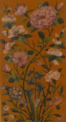 Flower Detail, Arabic Prayerbook