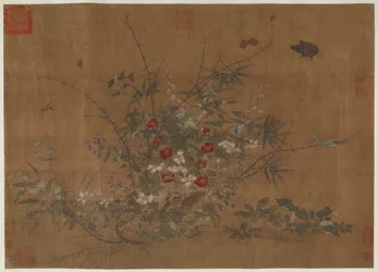 Flowers and Insects