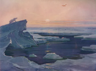 Flying over the Polar Wastes