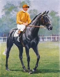 Foray, Jockey: P. Beasley