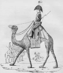 French Domedary Regiment. Captured with a Convoy in the Libyan Desert, May, 1801