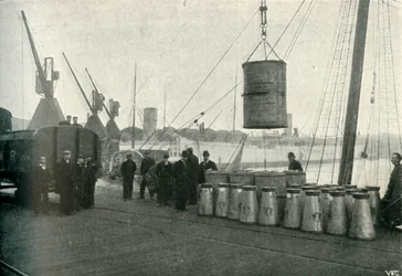 French Milk Being Landed at Southampton, 1902