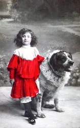French Postcard