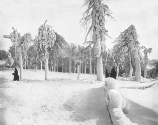 Frost Work in Prospect Park, Niagara, USA, c1900