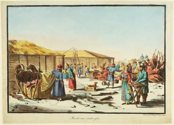 Frozen Meats Market
