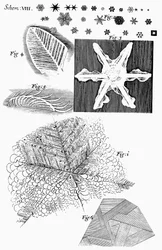 Frozen Materials Viewed by English Microscopist Robert Hooke