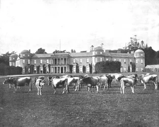 Goodwood, Hampshire