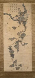 Grapevine and Squirrels