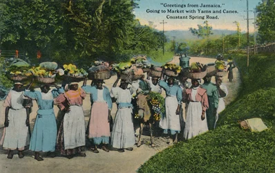 Greetings from Jamaica. Going to Market with Yams and Canes. Constant Spring Road