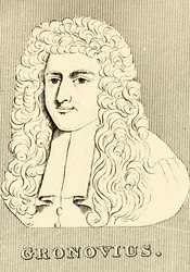 Gronovius