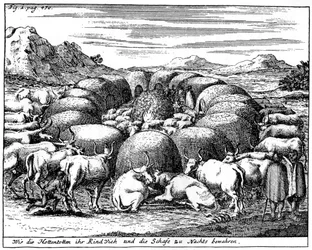 Guarding Sheep and Cattle at Night, South Africa