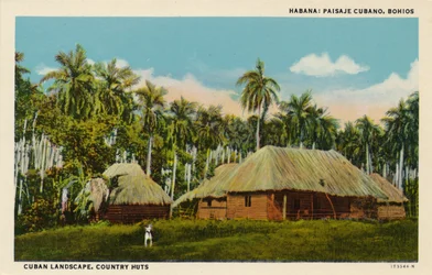 Cuban Landscape, Country Huts, c1910