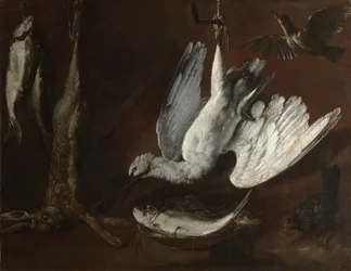 Hare, Spoonbill, and Fish