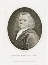 Herman Boerhaave, Dutch Physician, Chemist and Botanist, Early 18th Century