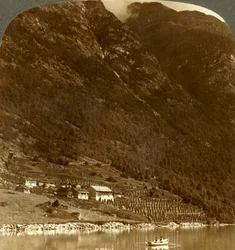 Hogrending Farm, Nestling at the Mountain