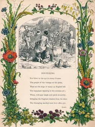 Hop-Picking