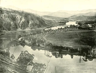 Hop Gardens in Tasmania