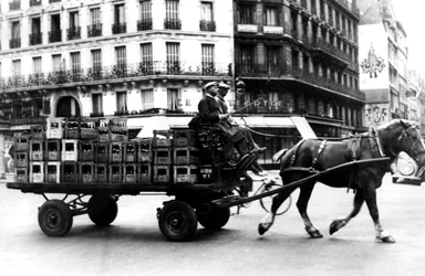 Horse-Drawn Cart Carrying Crates of Drink, German-Occupied Paris, July 1940