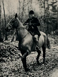 Hunting Wild Boar in France
