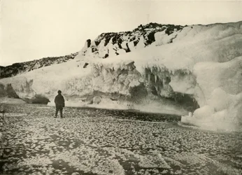 Ice Flowers on Newly Formed Sea Ice Early in the Winter