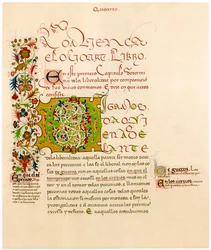 Illuminated letter D