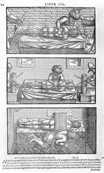 Illustration from Liber Canonis de Medicinis Cordialibus by Avicenna