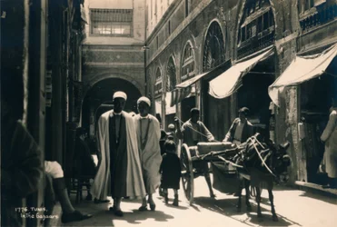 In The Bazaar, Tunis, Egypt
