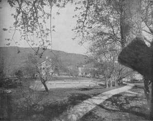 In the Catskill Mountains