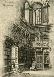 In the Library